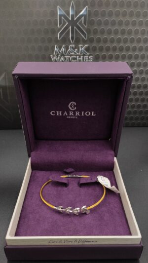 a0a030_c2a401cbe7ce4992805628ccc8d8603dmv2